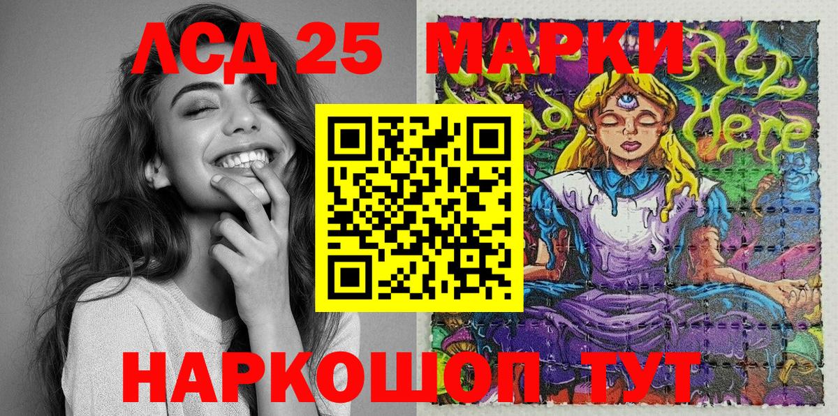 Псилоцибиновые грибы Гатчина