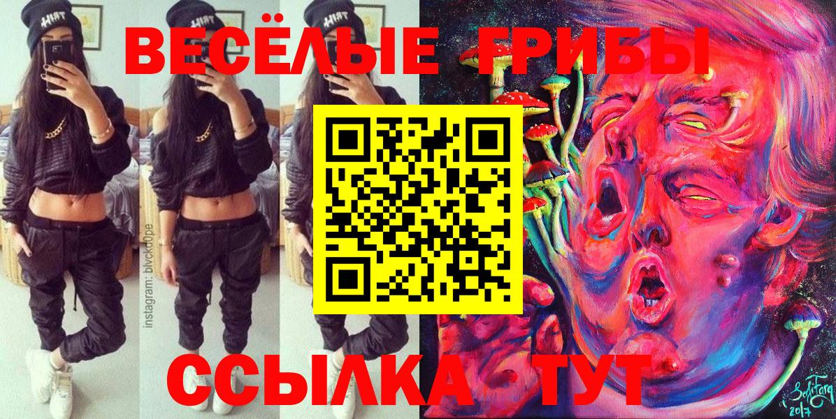 Псилоцибиновые грибы мицелий Гатчина