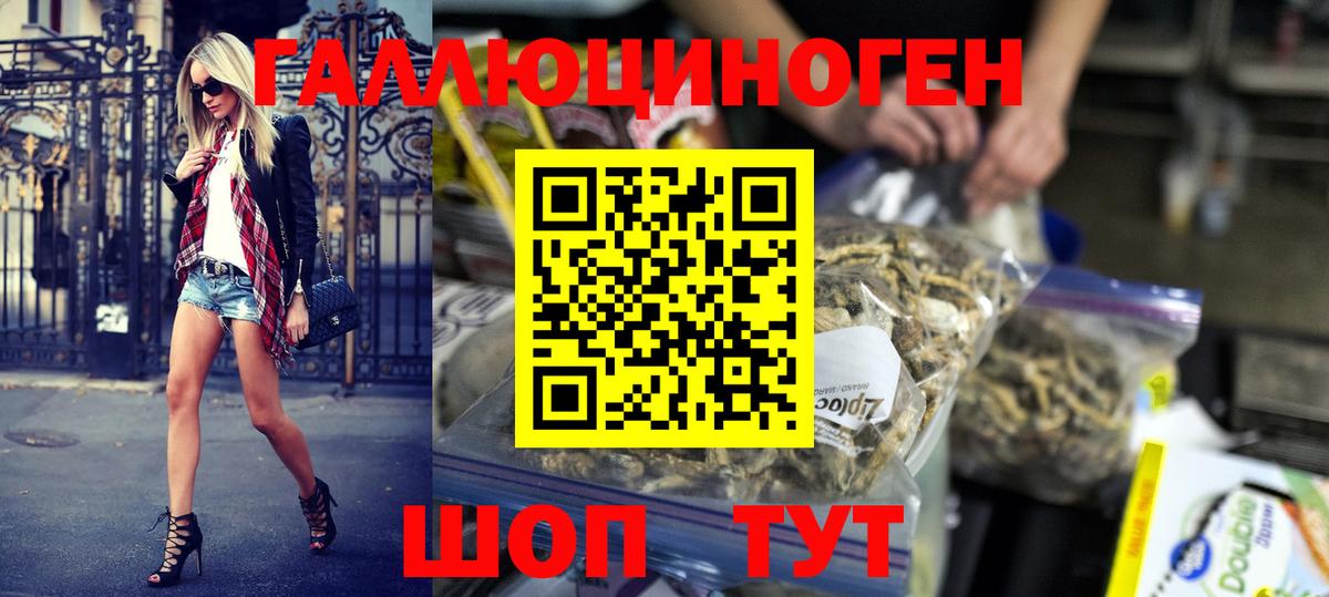 Галлюциногенные грибы Psilocybe  закладки  Гатчина  Вход с VPN 